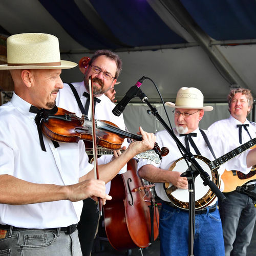 The Earls of Leicester artist photo