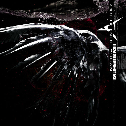 Invocation Array artist photo