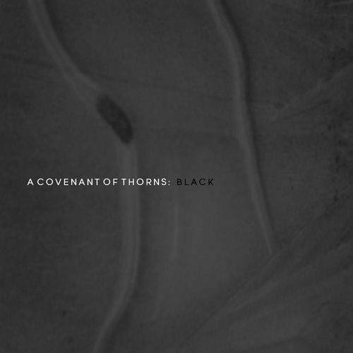 A Covenant of Thorns artist photo